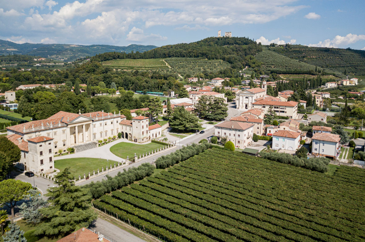 Vista aerea di uno scorcio di Illasi con villa, colline e vigneti