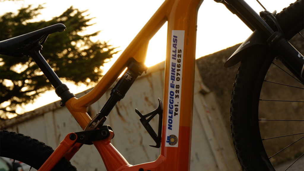 CICLI VAL ILLASI noleggio ebike