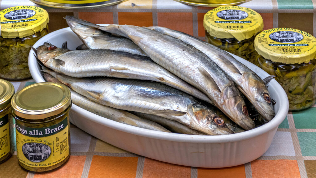CONTERNO supermercato banco pesce