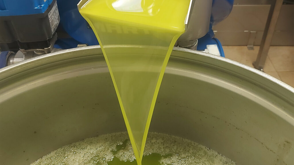 FRANTOIO BALLARINI olio extra vergine di oliva in frantoio