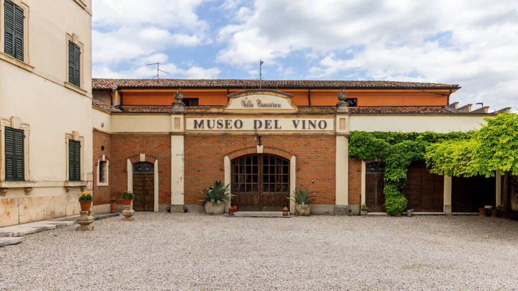 Museo del Vino