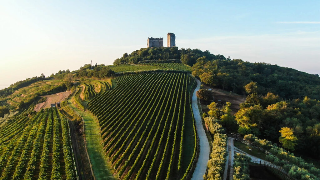 Cantina Sabaini vigno al Castello di Illasi