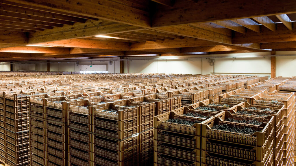 Cantina Santi Illasi, area appassimento uve